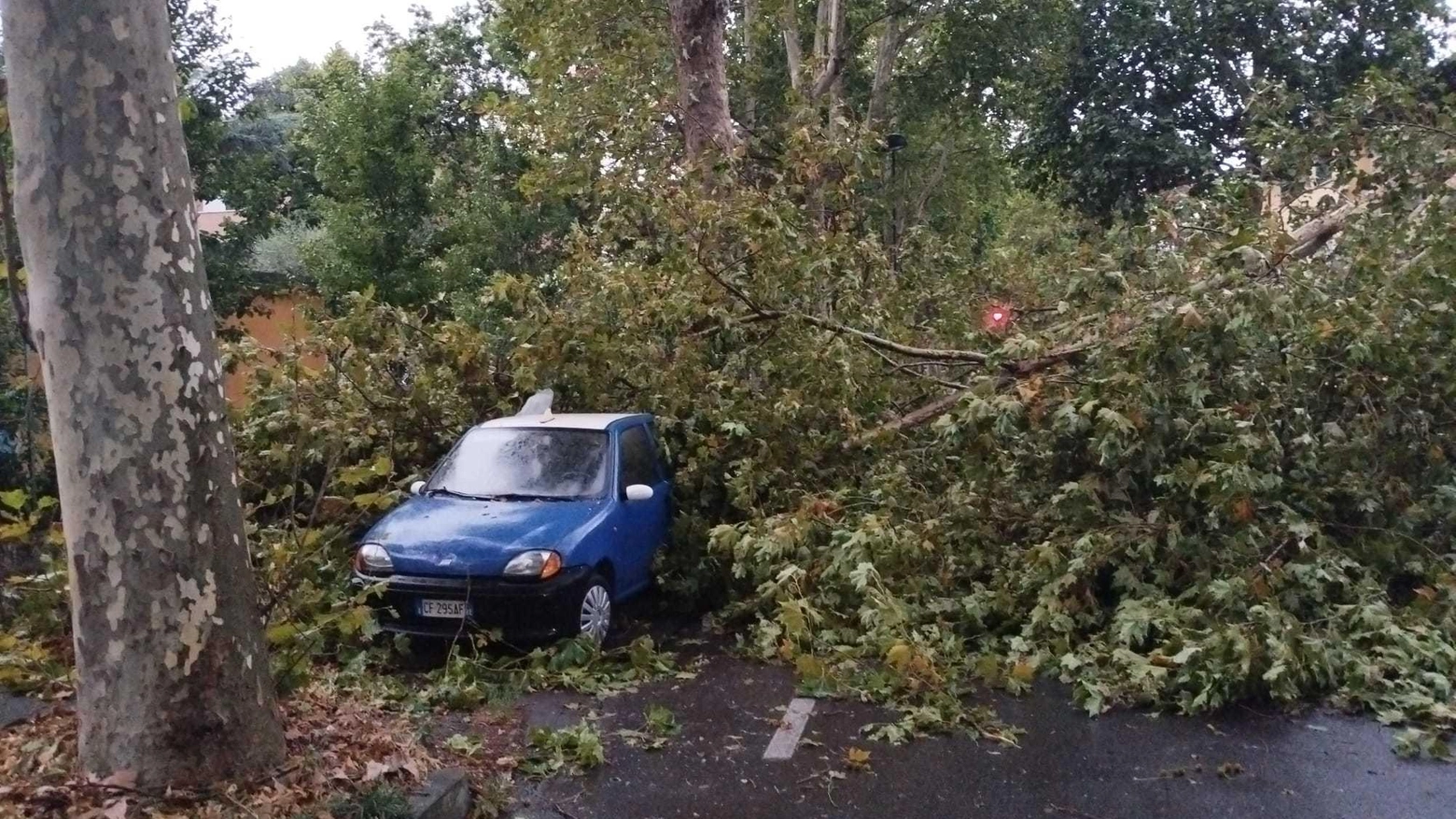 Maltempo all’improvviso. Vento forte e grandine distruggono alberi e auto