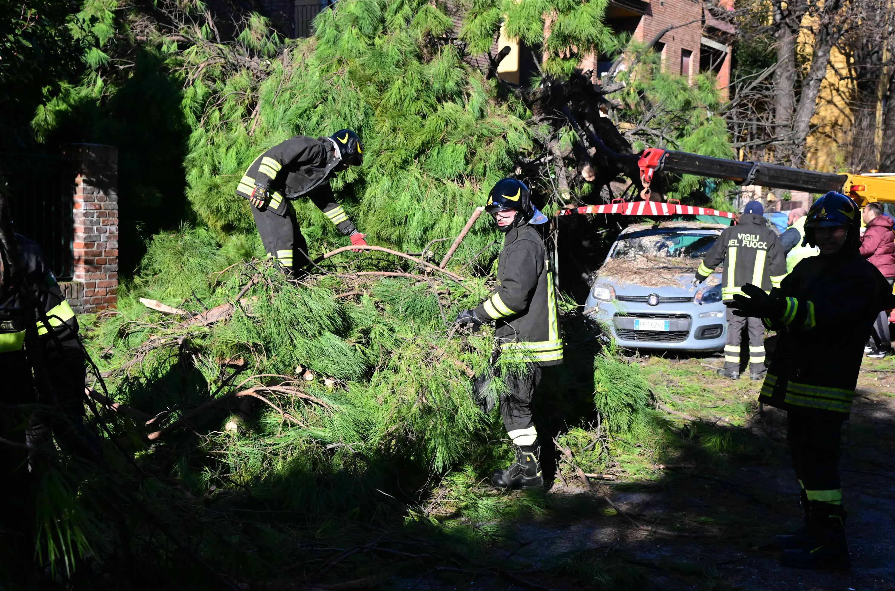 Bologna, albero caduto in via Bonafede a Bologna: attimi di paura