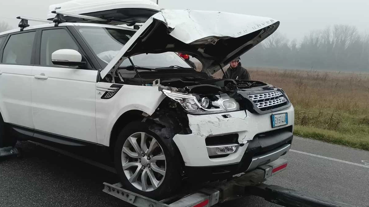 Non ha avuto fortunatamente gravi conseguenze, l’incidente avvenuto nella mattinata di ieri lungo la Strada statale Romea a Porto Garibaldi,...