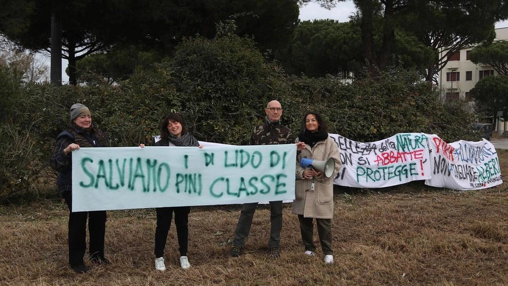 Sit-in per i pini in viale Vespucci: "Non vanno abbattuti"