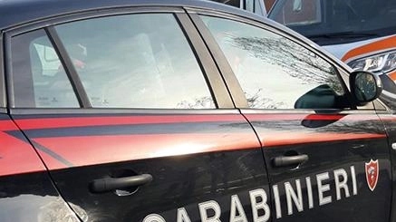 Udienza ieri mattina per i due arrestati l’altro giorno a Copparo. Il giudice convalidava i due arresti fissando per entrambi...