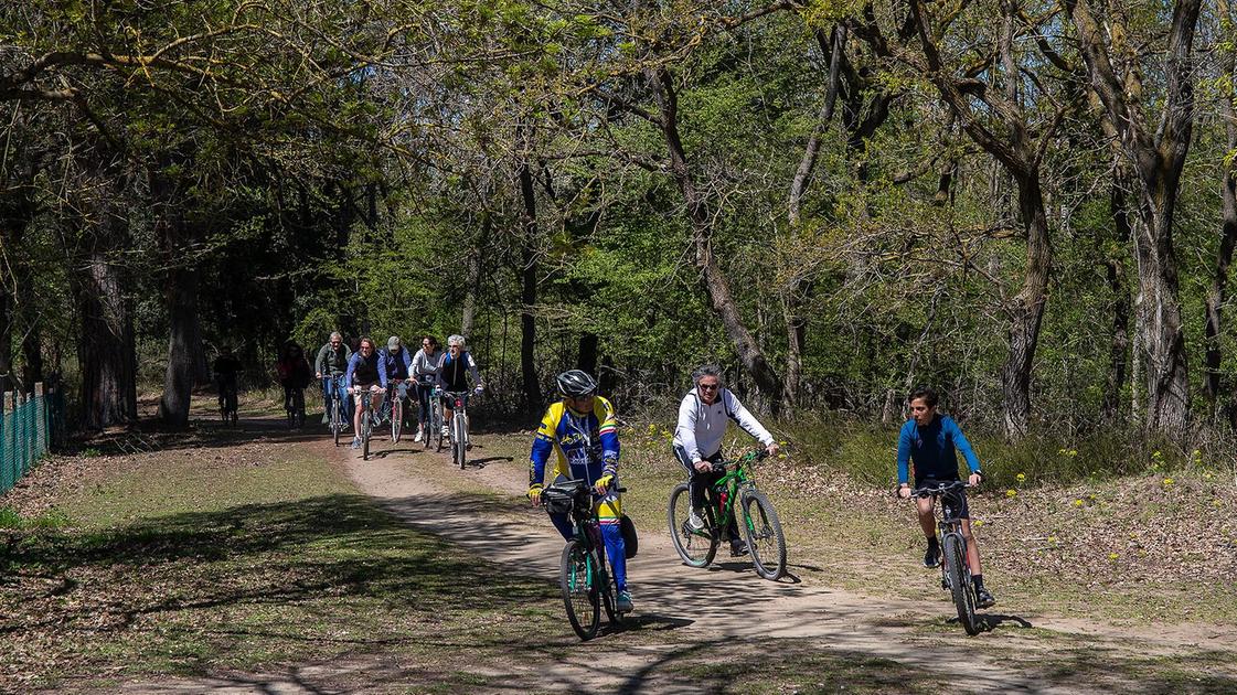 Parco del Delta , in bici alla scoperta della natura