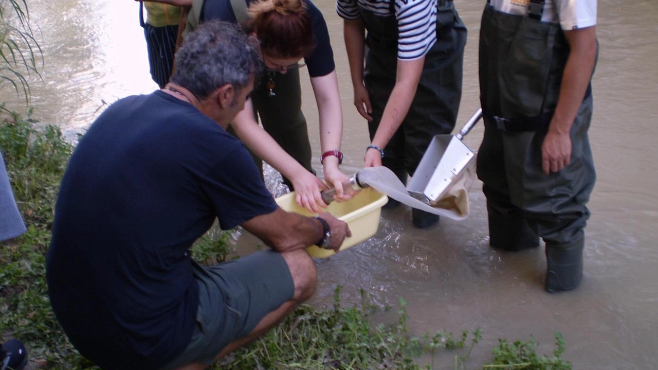 Studenti del Liceo Da Vinci di Jesi vivono tre giorni immersi nella natura senza smartphone grazie al progetto campus verde Netless. Attività all'aria aperta e psicopedagogiche per allontanarsi dalla dipendenza tecnologica.