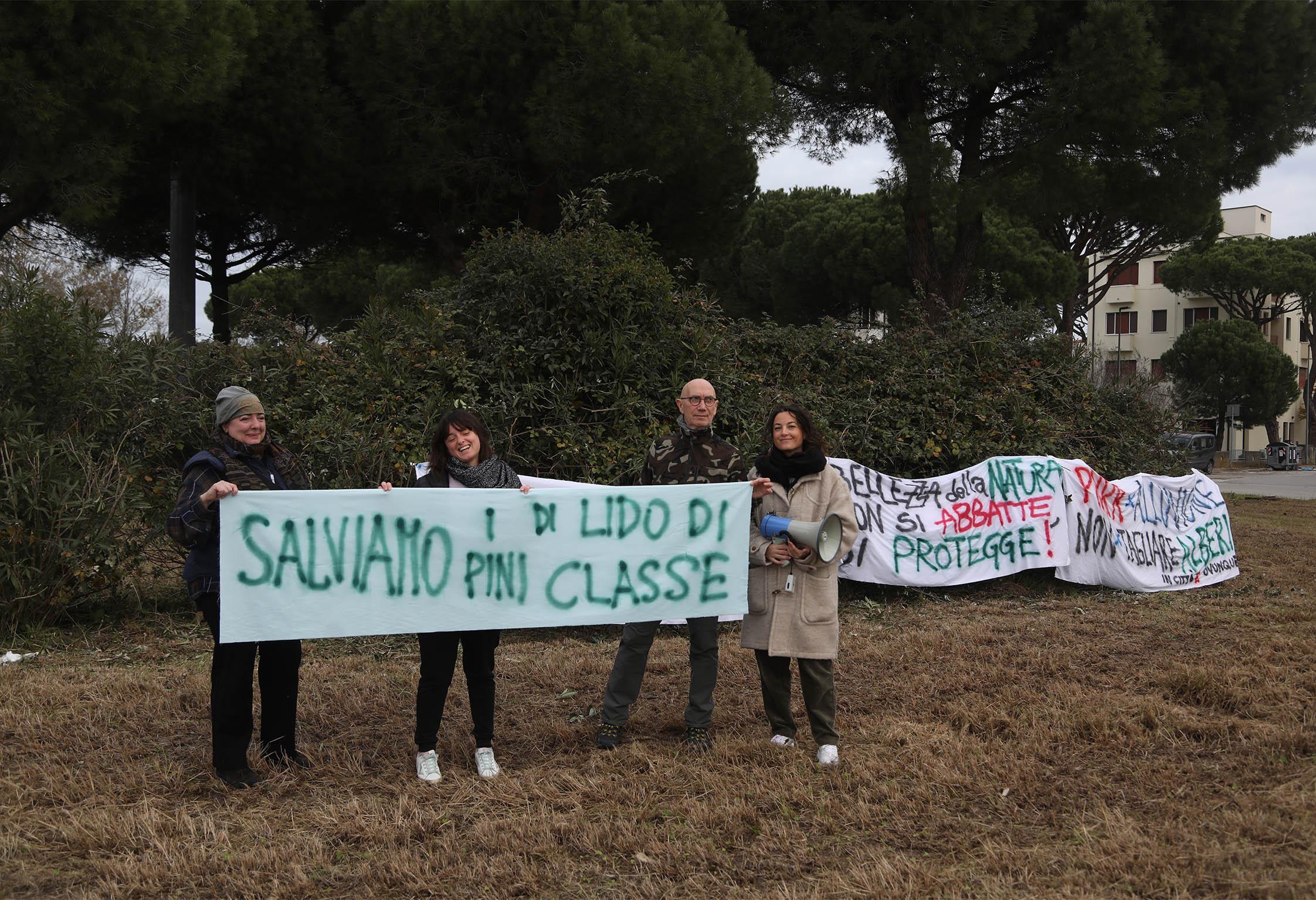 Lido di Classe, sit in in difesa dei pini di Lido di Classe