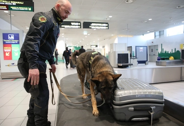 Una pistola nel bagaglio a mano, aeroporto di Bologna in tilt per oltre un’ora. Ma l’allarme si rivela infondato