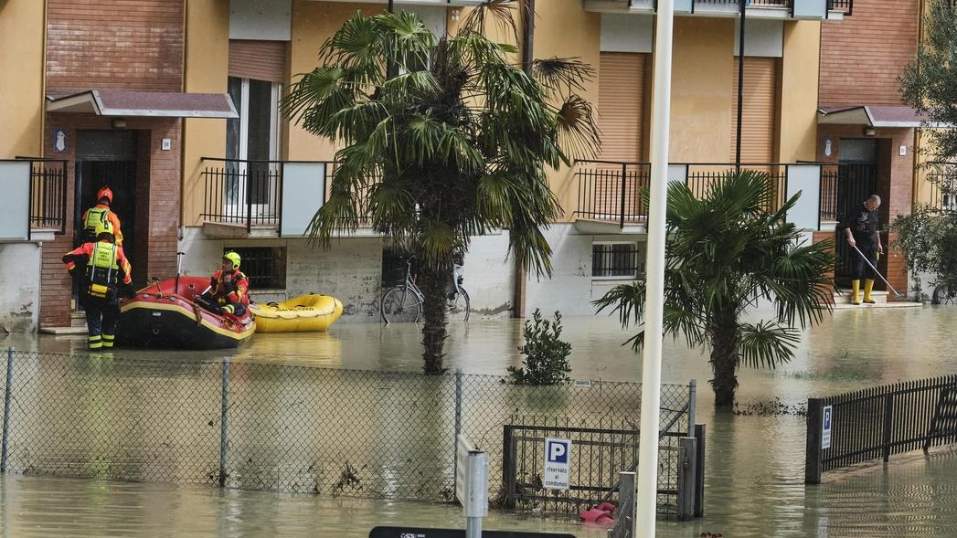 Faenza, ok del Consiglio al fondo straordinario per le famiglie: ecco come richiedere i contributi. Il sindaco Isola: "È una risposta sociale"