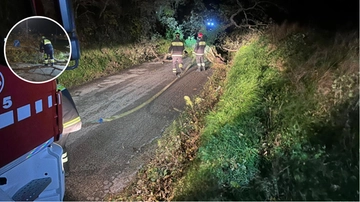 Maltempo, notte da incubo nelle Marche: alberi abbattuti dal vento, strade chiuse e danni