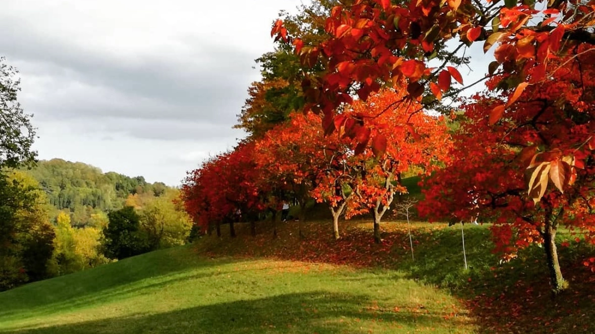 Il Foliage in Villa Ghigi