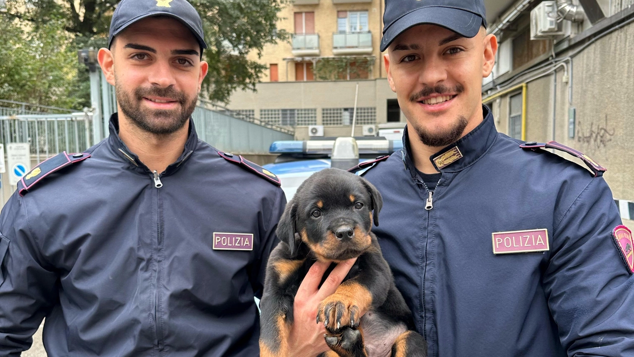 Il cucciolo salvato dai maltrattamenti del padrone con agli agenti della polizia