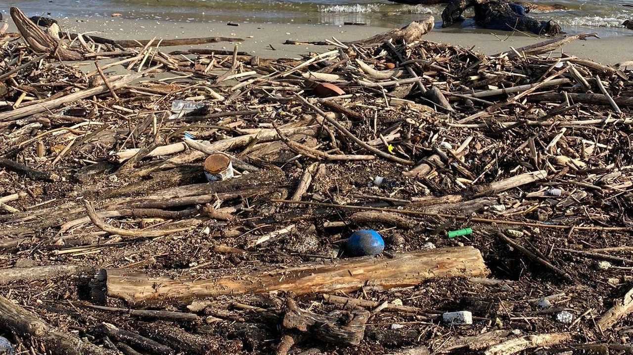 Mareggiate portano detriti sulle spiagge di Comacchio. Balneari chiedono intervento urgente per rimuoverli e salvaguardare l'ambiente e il turismo. Appello alla Regione Emilia-Romagna per fondi e supporto.