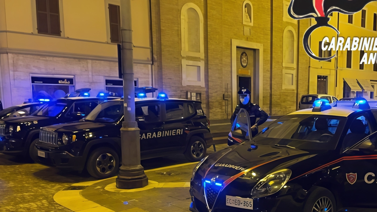 I carabinieri hanno svolto le indagini