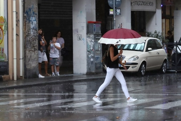 Maltempo a Bologna, alberi caduti in strada. Disagi e danni anche in provincia