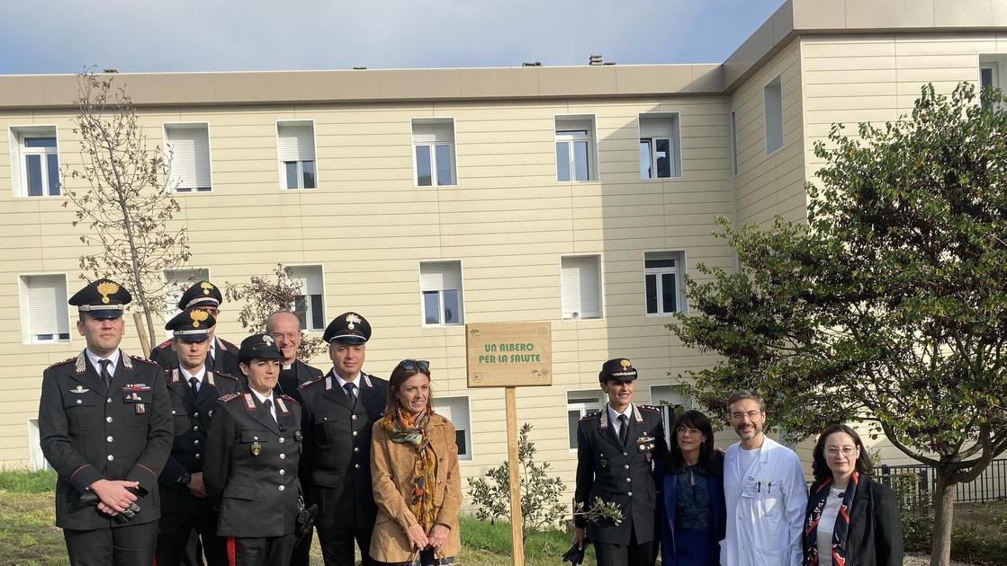 All'ospedale un albero per la salute