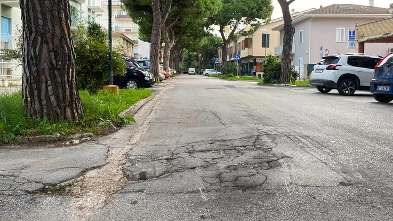 Viale dei Pini, tratto dimenticato e nel degrado