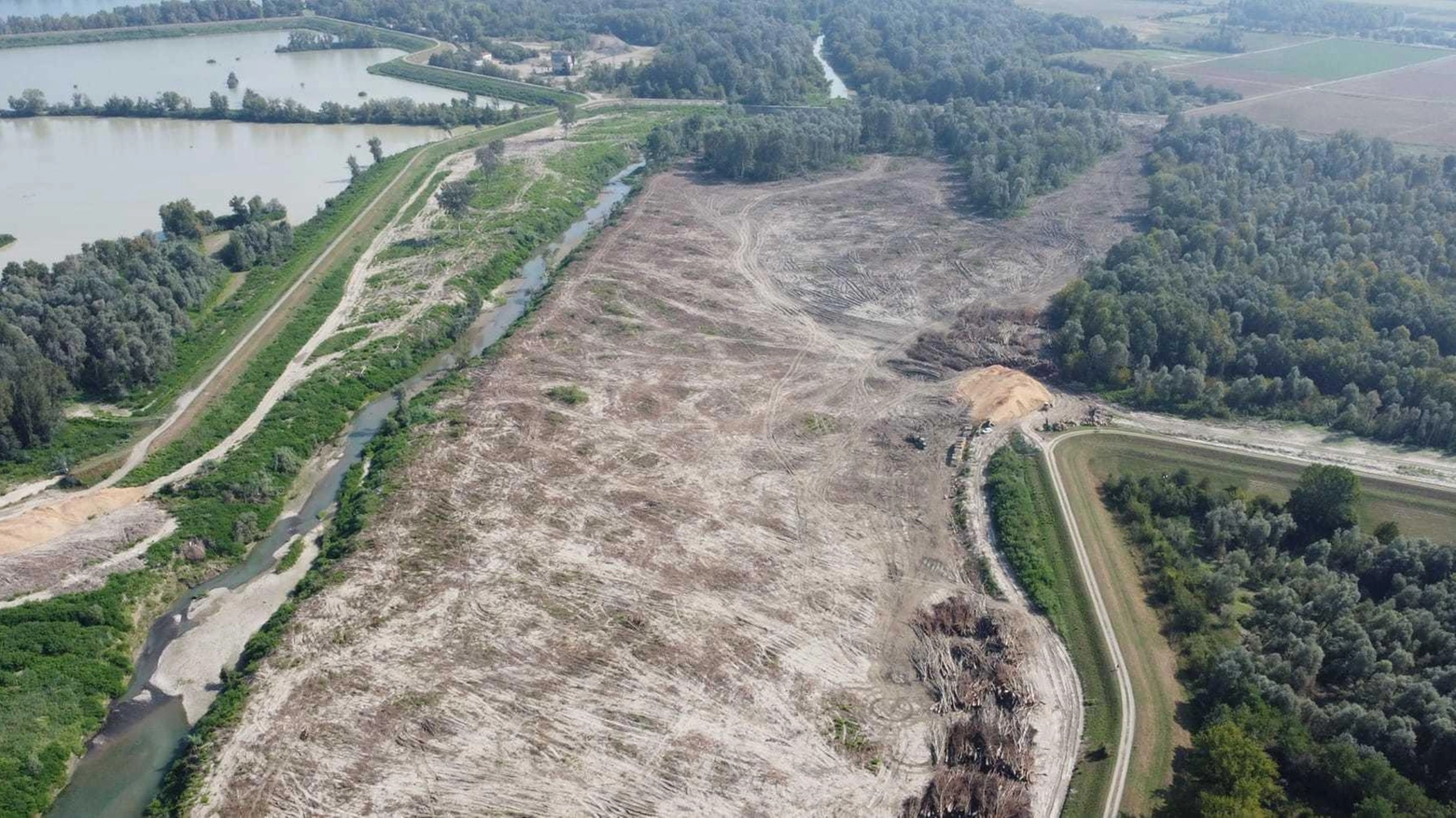 Caso Secchia, Aipo in Comune: "Casse di espansione disboscate, a novembre ripiantiamo gli alberi"