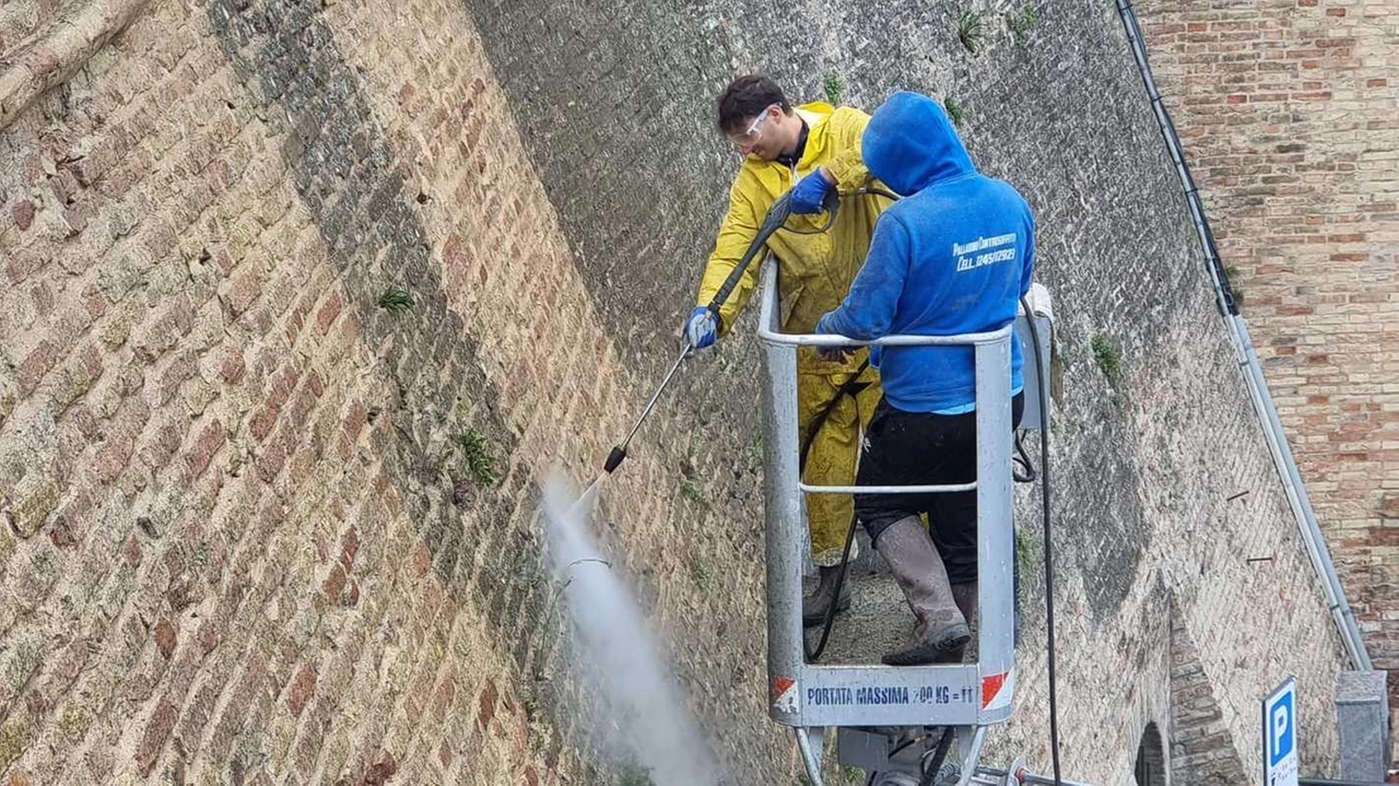 Un intervento di pulizia delle mura di Macerata