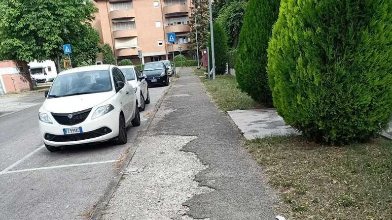 "Mia mamma prigioniera". Tutta colpa delle buche