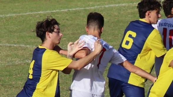 Squalifiche e risultati nelle categorie calcistiche marchigiane: sanzioni e avvenimenti nelle partite di Eccellenza, Promozione e Prima Categoria, con focus sulla Coppa Marche. Prossimi incontri e dettagli sulle competizioni in corso.