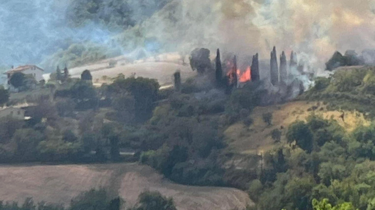 Un anziano di 94 anni a Arcevia causa un incendio boschivo colposo mentre brucia sterpaglie, bruciando ettari di campo. Indagato, l'uomo ha acceso il fuoco senza valutare il rischio. Le autorità invitano a evitare fuochi in periodi secchi.