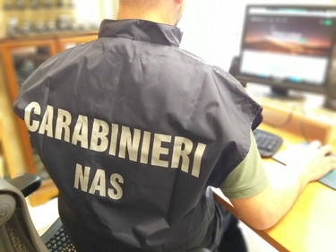 Escrementi di topo e due lavoratori in nero in una pasticceria: maxi multa di 35mila euro