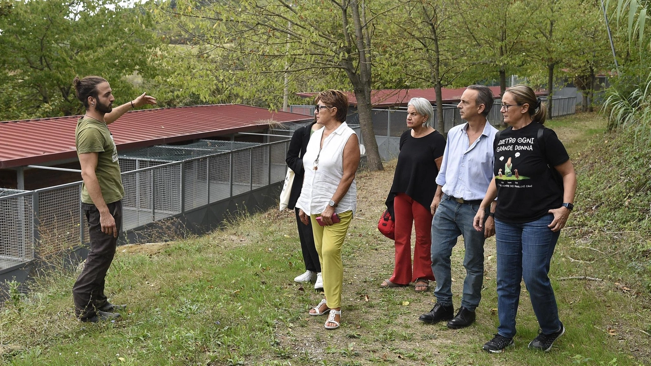 Viaggio nella struttura che accoglie sessanta amici a quattro zampe. Cinque dipendenti dell’Enpa e i volontari di Argo gestiscono l’area comunale: "I più anziani non trovano padroni a causa dell’età" .