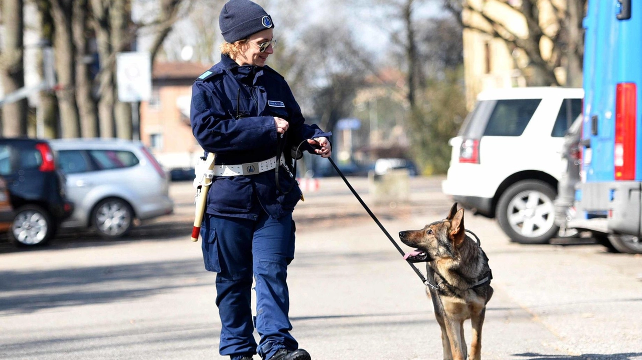 Un agente della polizia locale con il cane antidroga (. foto di repertorio