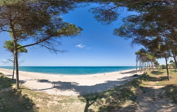 Mare Marche, da Cupramarittima a Mezzavalle: 5 spiagge libere da non perdere