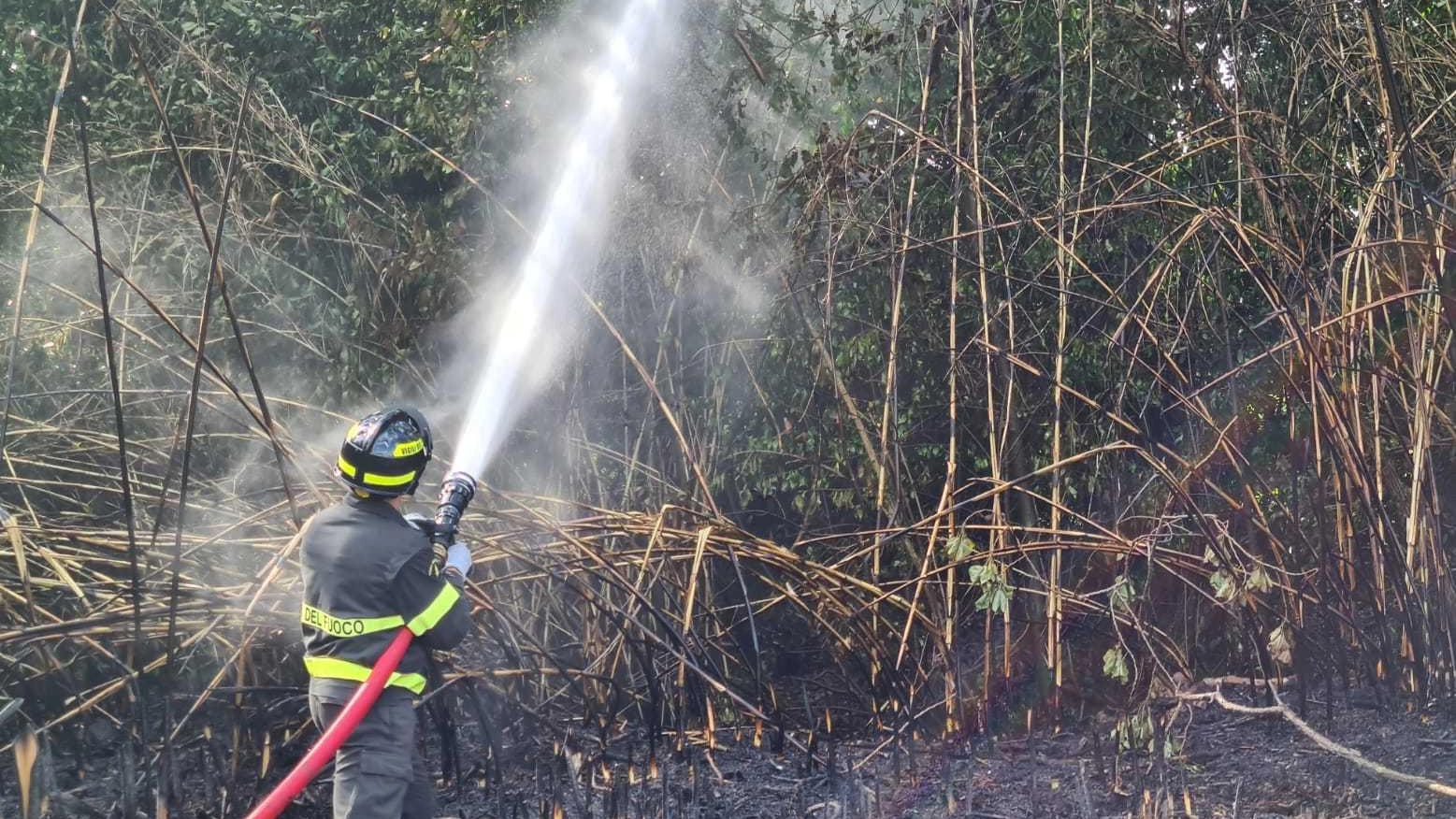 Via Fiumesino, incendio vicino a case e aziende