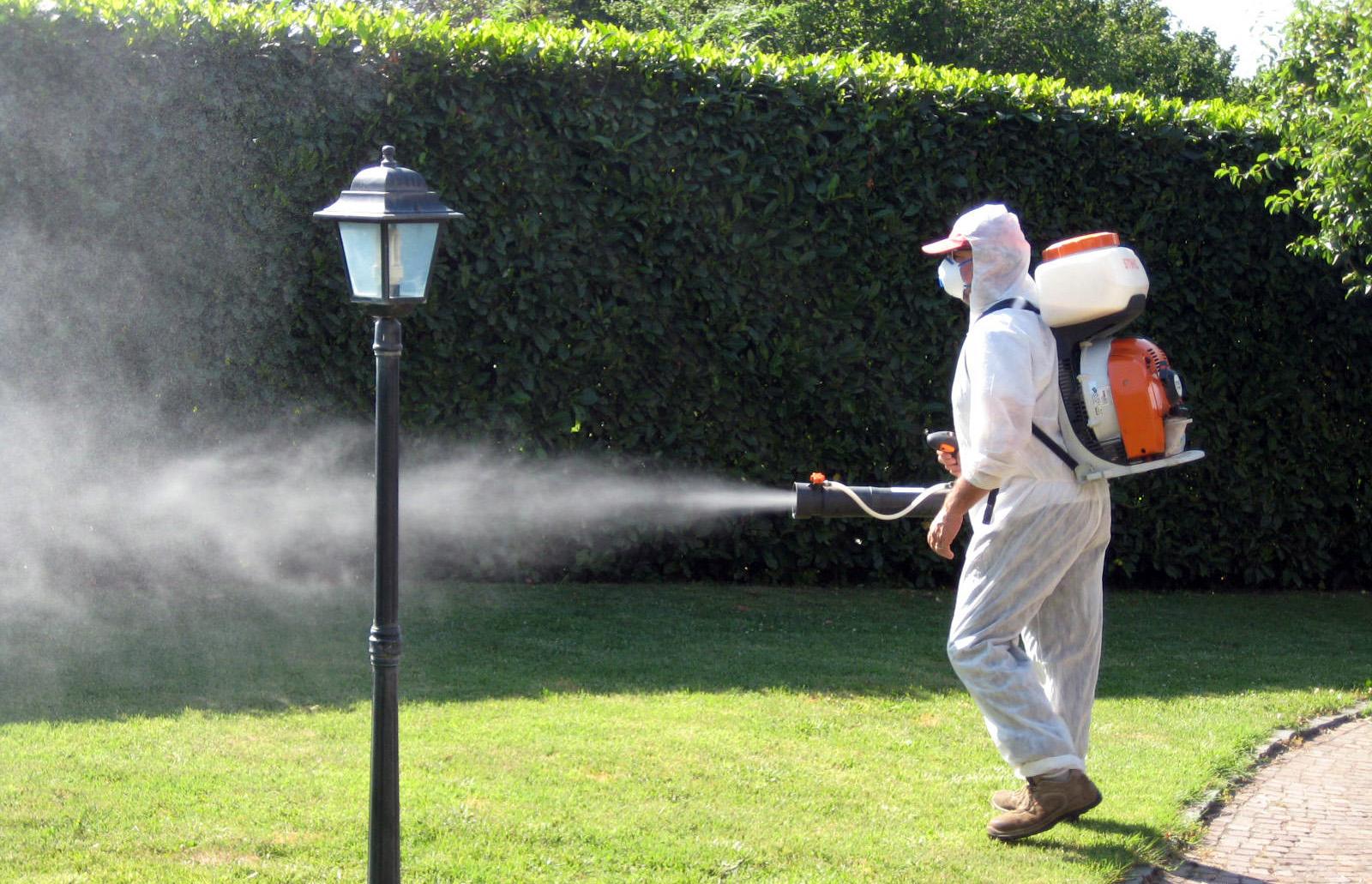 Dengue a Bologna, nuovo caso. “Tenete chiuse le finestre”