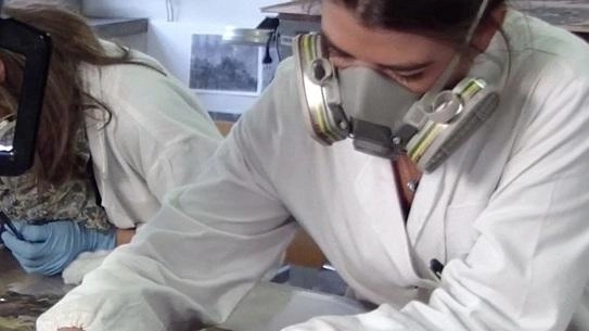 Una restauratrice al lavoro sul cinquecentesco stendardo di Santa Lucia