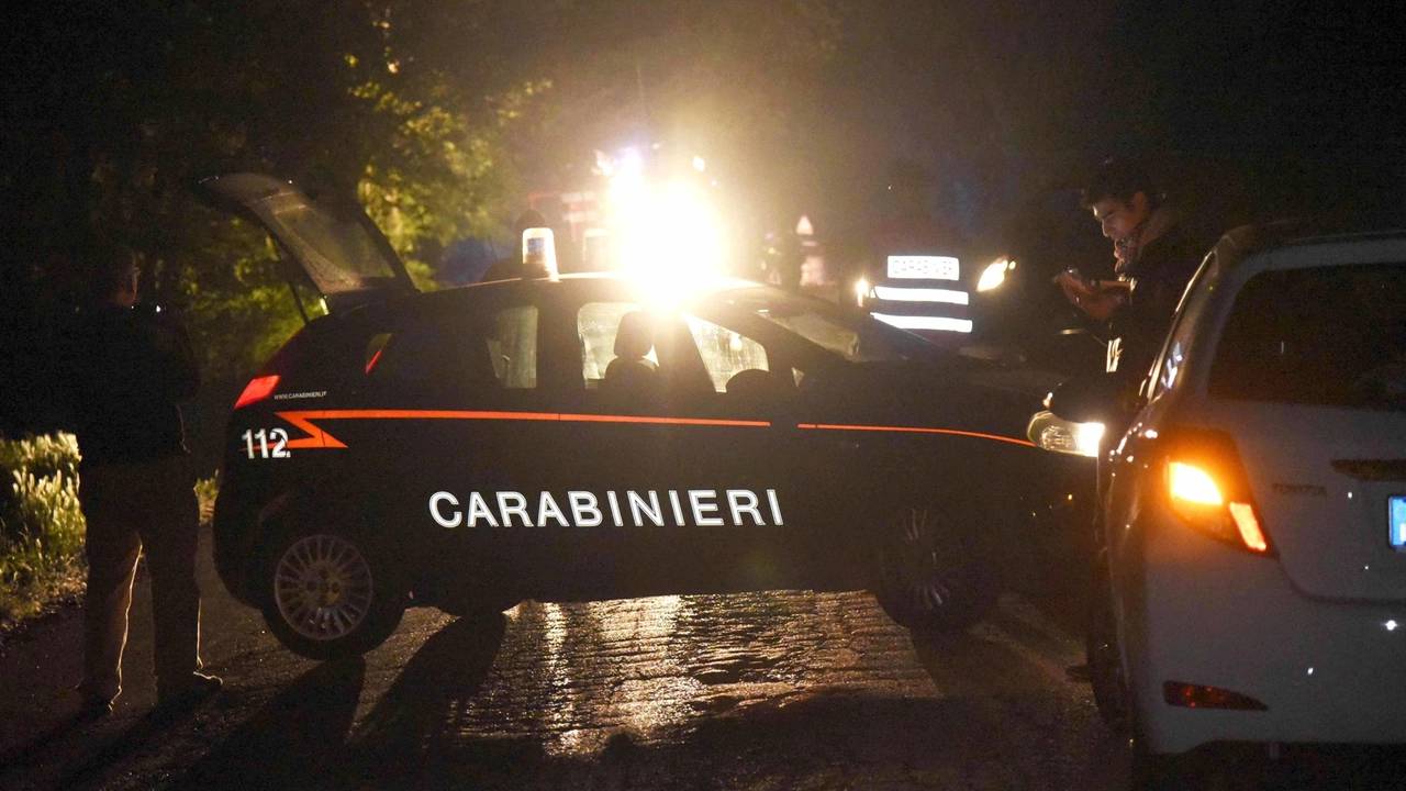 Sul posto sono intervenuti sia gli agenti della Polizia locale dell’Unione Terre d’Argine, che i Carabinieri della compagnia di Carpi (Foto d’archivio)