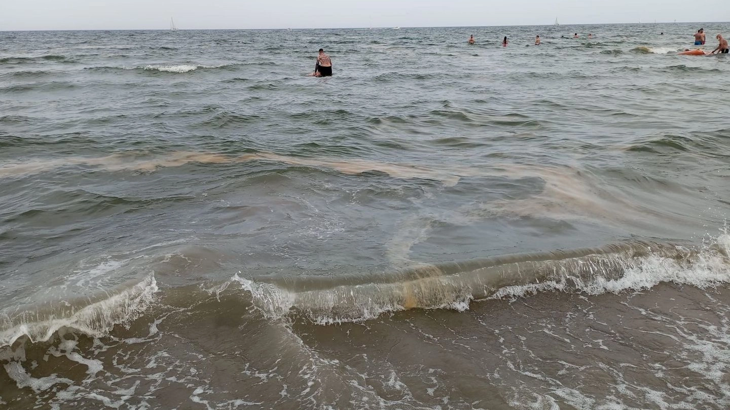 Il mare a Cervia con le striature date dalla mucillagine