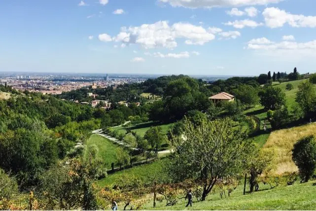 Villa Ghigi, da 50 anni tesoro comune