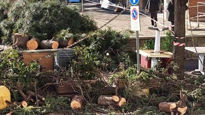 Maltempo, ecco la conta dei danni in città: "Numerosi problemi causati alle scuole"