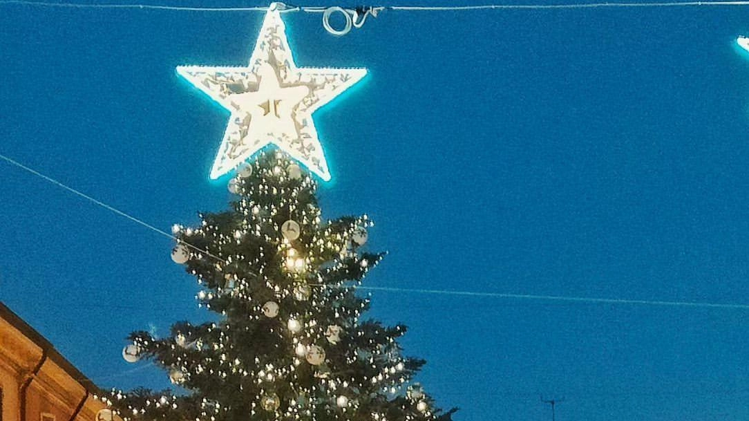 L’albero di Natale in piazza