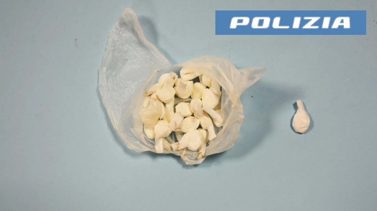 La cocaina sequestrata dalla polizia