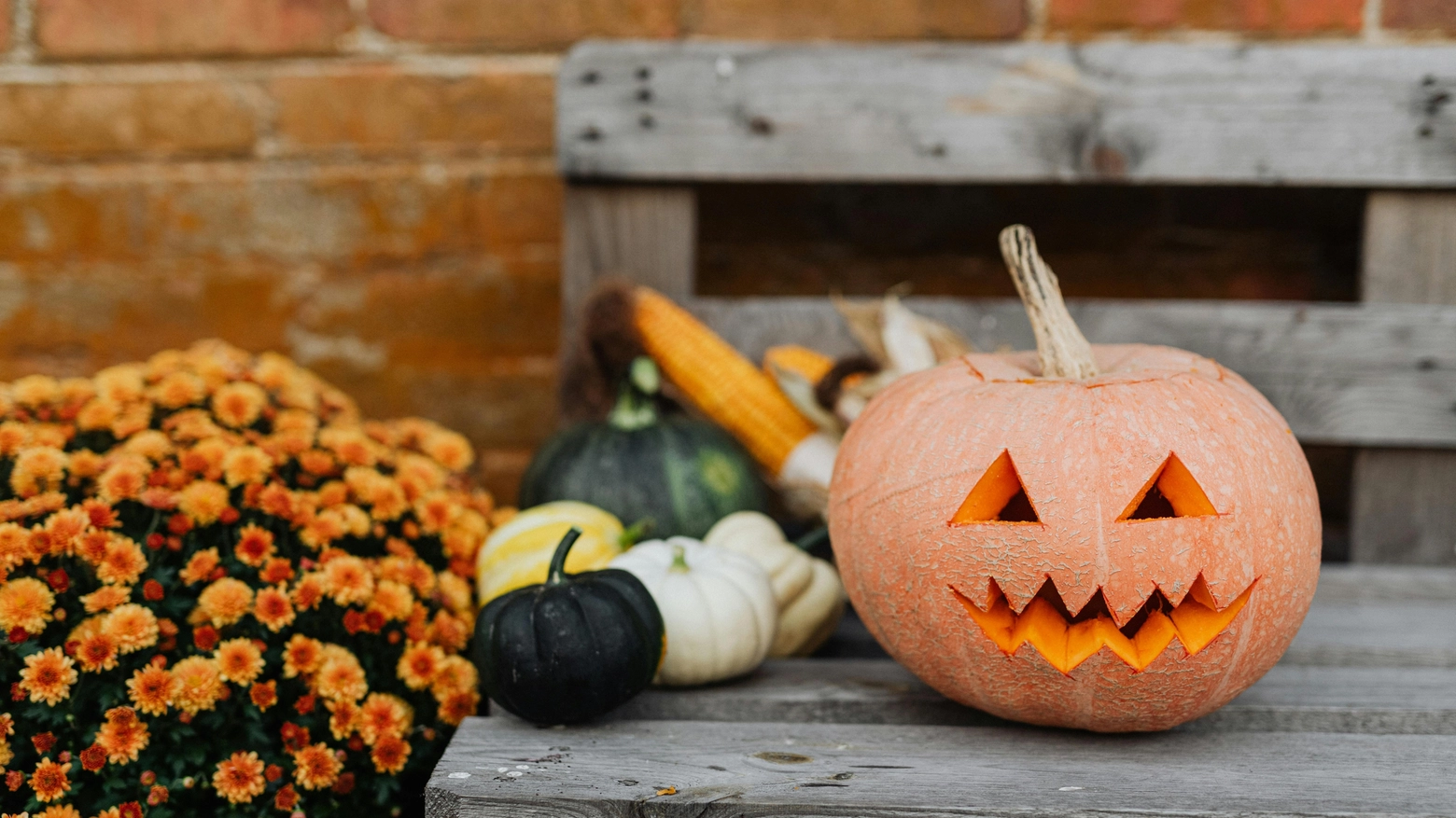 Ecco dove ballare e fare festa la notte di Halloween a Bologna