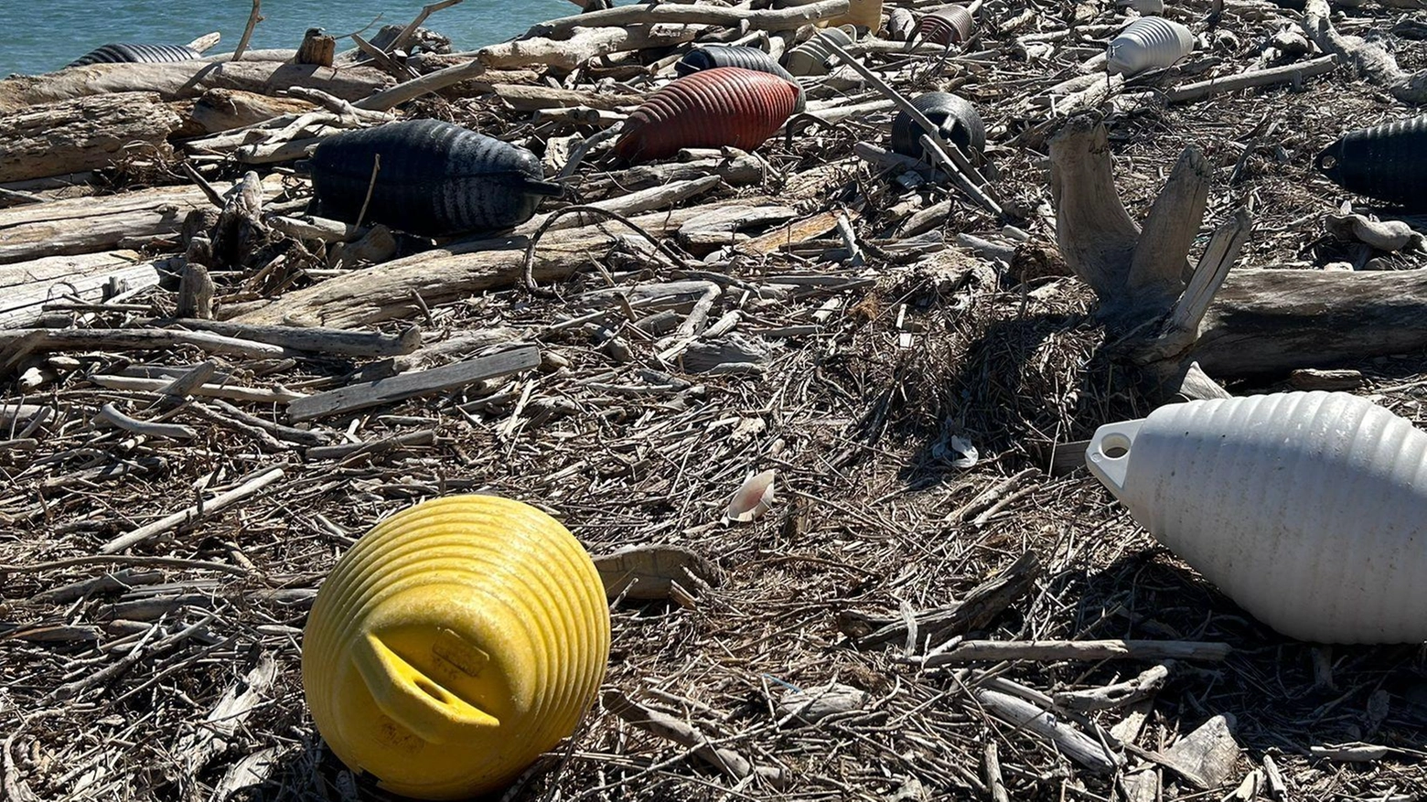 Fiorenzuola, Mms in azione. Spiaggia ripulita dai rifiuti