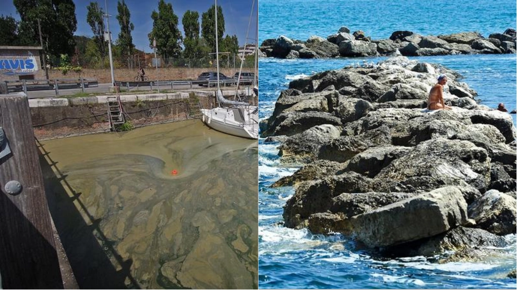 Le persone raccontano le difficoltà di entrare in mare: “Impossibile fare il bagno già di mattina”. L’esperta: “Restano le condizioni che le alimentano”