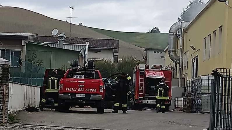 Gli operai hanno cercato subito di contenere il rogo. Sul posto anche il vicesindaco:. "Nessun problema grave". .