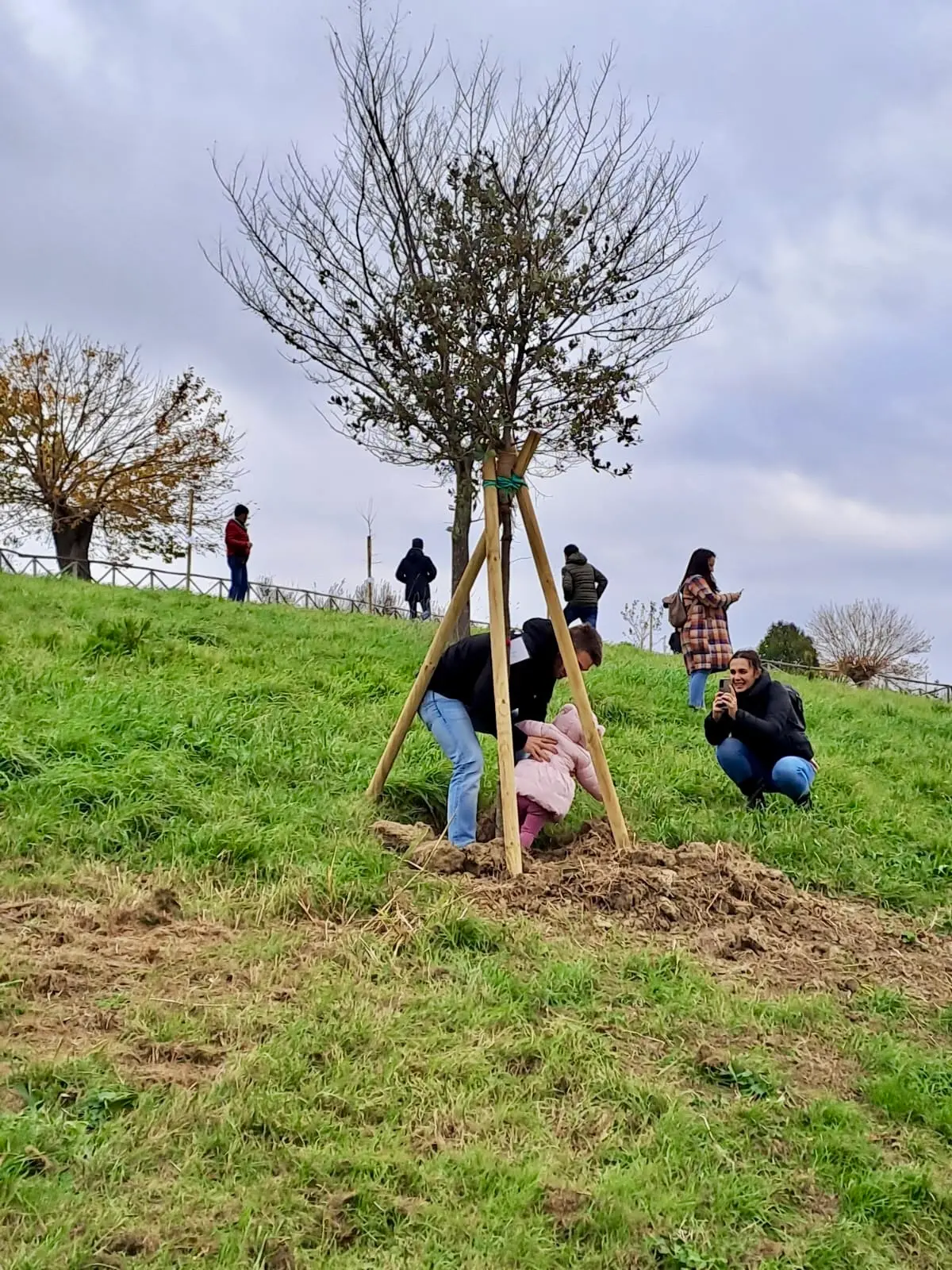 Maiolati Spontini, "per fare un albero ci vuole un figlio": ecco 26 nuove piante