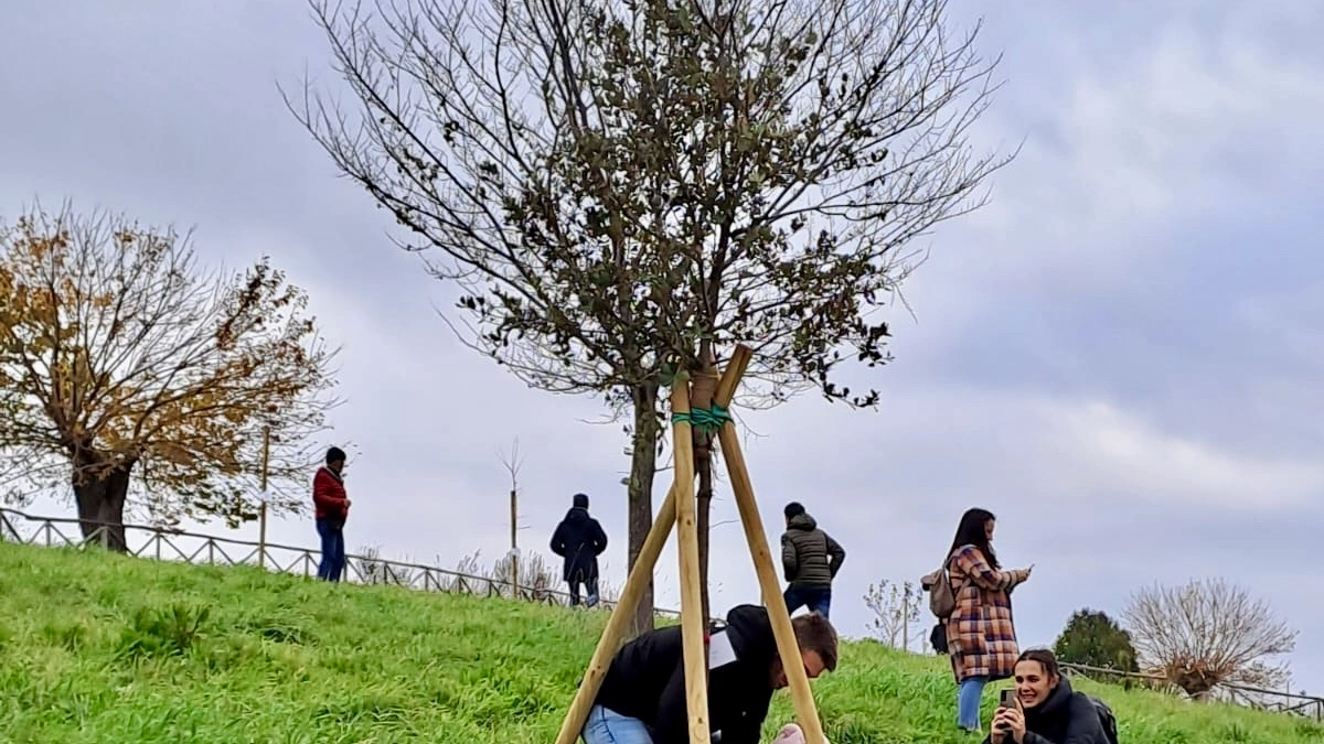 La cerimonia di 'assegnazione' degli alberi