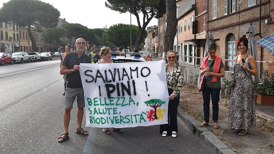 L’incontro con l’amministrazione per tutelare gli alberi di Lido di Savio e di Ravenna. L’esperto Cantiani: "Costruire barriere radicali o ancorare la zolla: ecco le alternative".