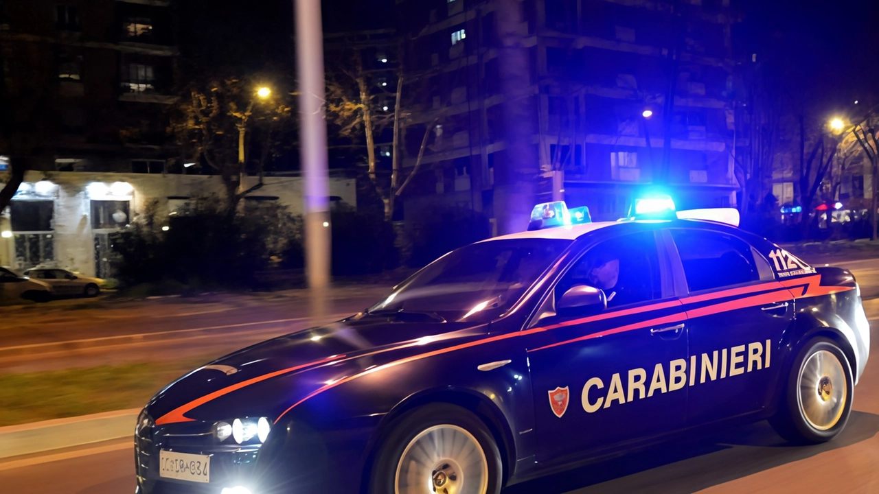 Carabinieri arrestano membro banda dell'oro rosso in azienda agricola: inseguimento sotto la pioggia nei campi, tentato furto aggravato di rame.