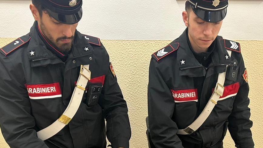 Ricercato per 17 furti in Germania, in manette