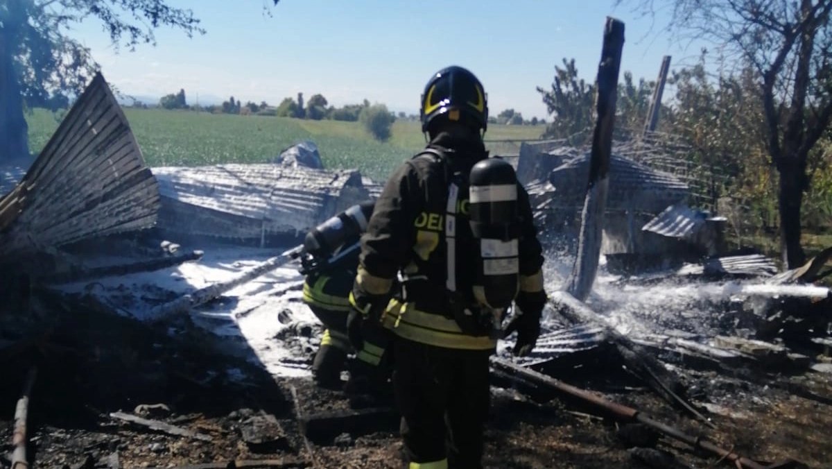 Incendio nel Bolognese, morte 10 galline