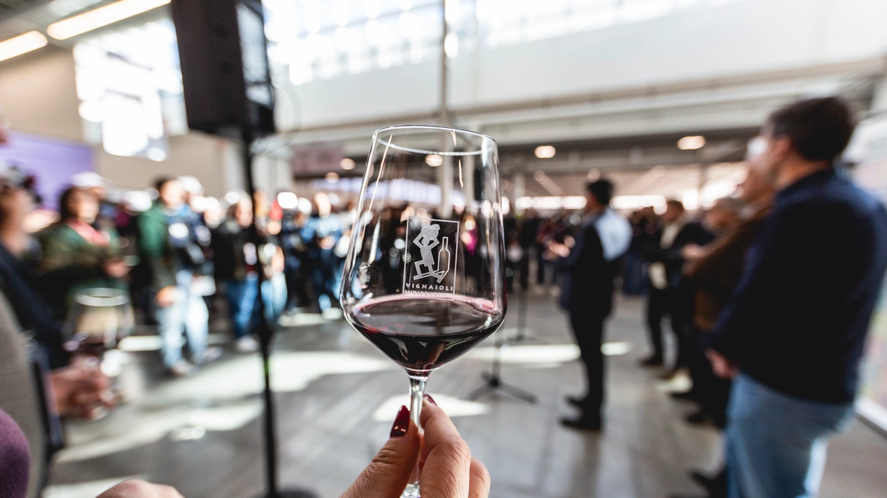 Più di 8mila i vini da assaggiare negli stand distribuiti in quattro padiglioni. Presenti anche due delegazioni straniere e più di 30 olivicoltori. L’assessore regionale Mammi: “Vignaioli vitali, puntano alla qualità e rispondono così ai problemi del settore”. Tonelli (Ascom): “Il buon bere trova terreno fertile nella capitale della gastronomia”