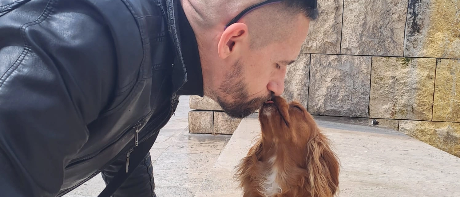 Anna e Alessandro si stavano dirigendo a Napoli con il loro Cavalier King di un anno e quattro mesi, rimanendo coinvolti in uno schianto contro un furgone lo scorso 17 settembre alle 5 di mattina, ad Ancona. Il quattro-zampe, ferito, è scappato