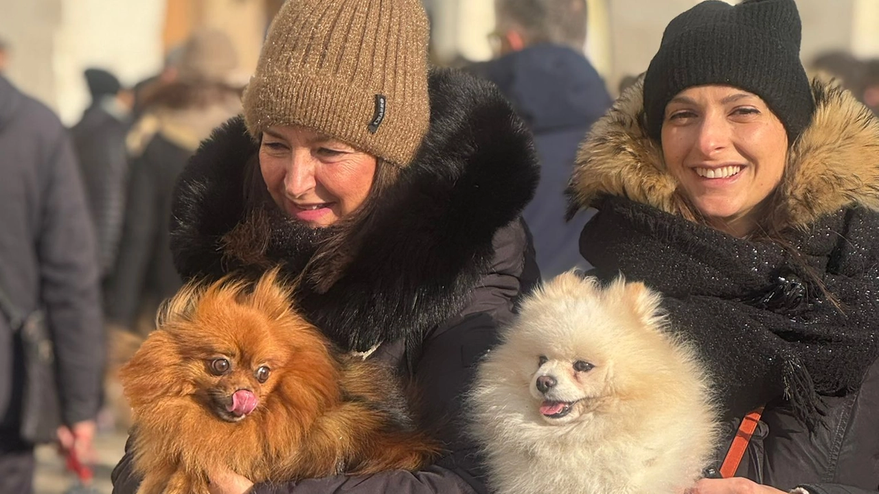 Padre Renato benedice gli oltre 300 animali in piazza XX Settembre accompagnati dai loro padroni