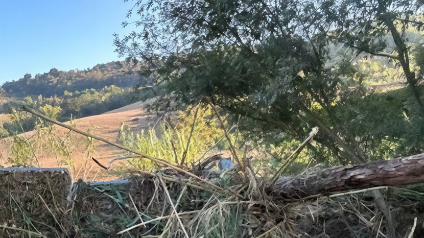 Questa è la situazione oggi davanti a a casa della famiglia Bussolari